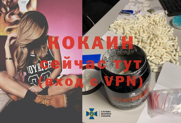 спайс Дмитриев