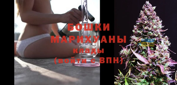 спайс Дмитриев